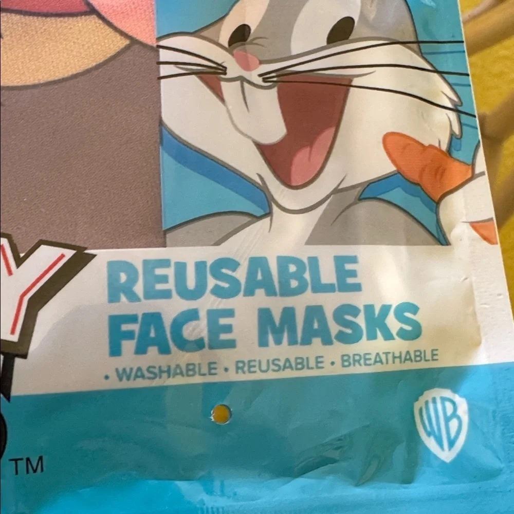 Looney Tunes WB Tazmanian Devil Face Mask Reusable Washable NWT